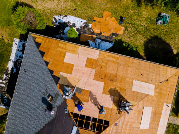 Best Roof Gutter Cleaning  in Moultrie, GA